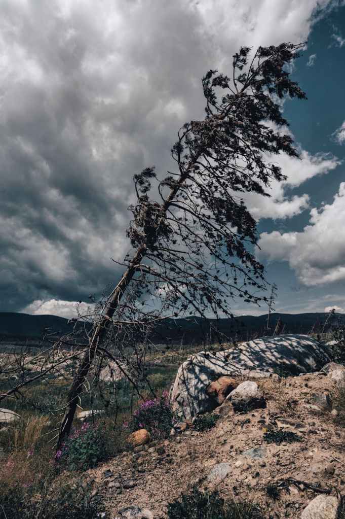 Death is not&nbsp;justice